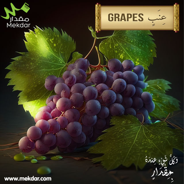 العنب، التغذية، التاريخ، حلو، لذيذ، عنب ،مقدار