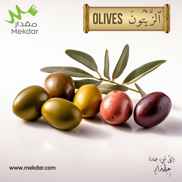 تغذية الفوائد الصحية للزيتون ،مقدار