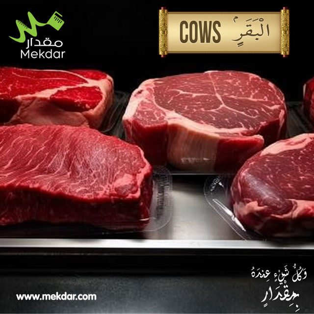 تغذية لحوم البقر ، الفوائد الصحية للحوم البقر ، اللحوم الغنية بالمغذيات ، مصدر البروتين الخالي من الدهون،مقدار