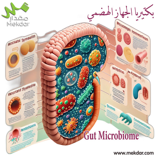 صحة بكتيريا الأمعاء, ميكروبيوم الأمعاء, بكتيريا الأمعاء المفيدة, التغذية الصحية, صحة الجهاز الهضمي, الشيخوخة, المضادات الحيوية, الأمراض المناعية, الالتهابات المعوية